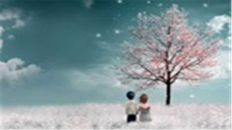 7309CYP5 日本NACHI軸承 SNR AXC80AKL28-B-400-780-0000-0-0 NTN-SNR ID: 253883